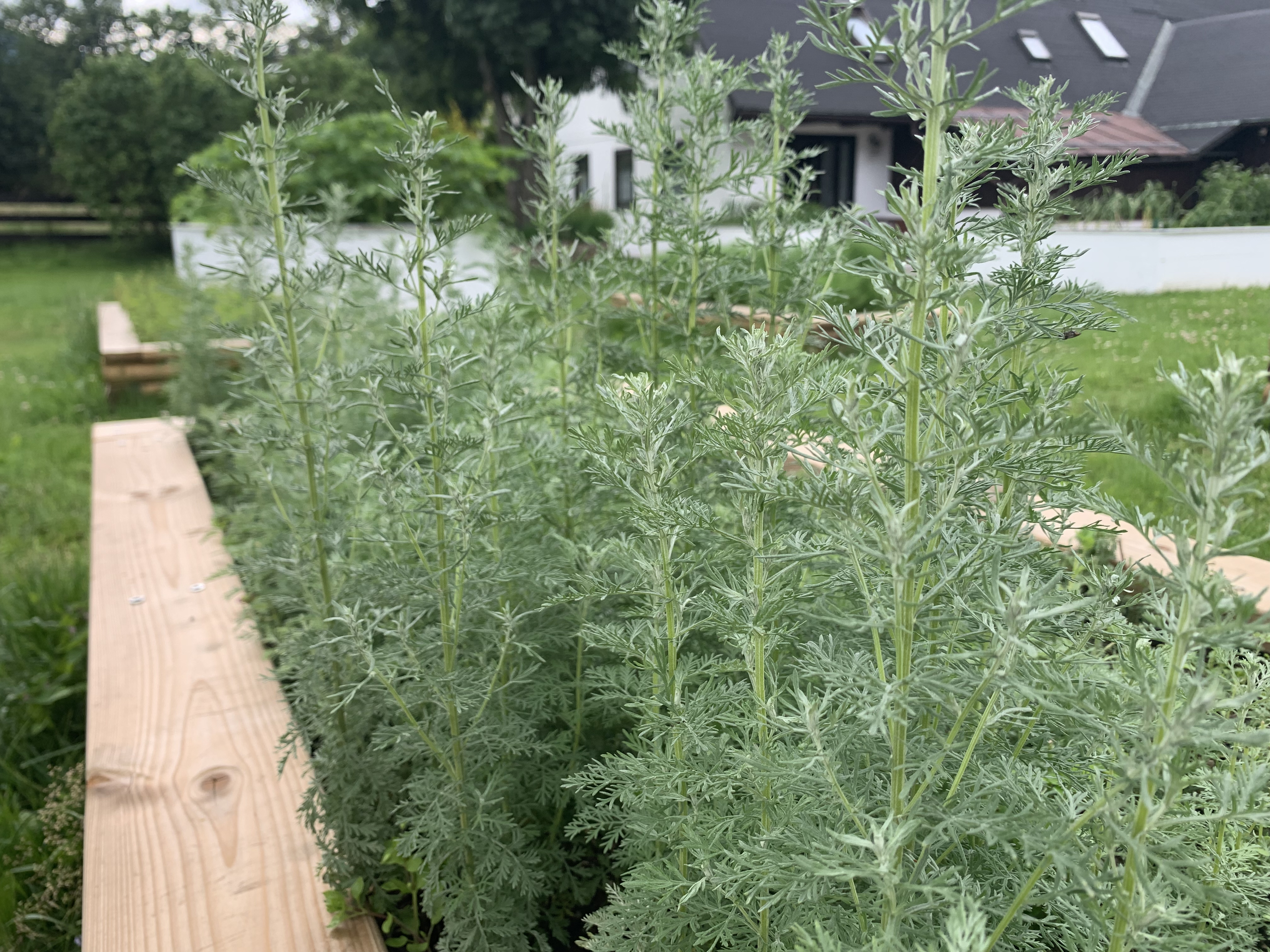 Photo 05.07.2021 16 57 18
